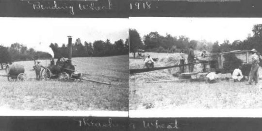 Steam Thresh and Binder in Calvert County, 1918.