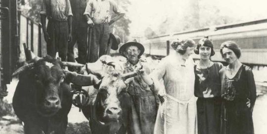1920-1929 Oxen and People at Chesapeake Beach Railway Station