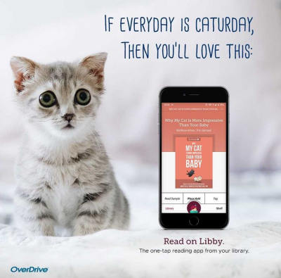 kitten next to image of smartphone. Text saysm, " If everyday is caturday then you'll love this"