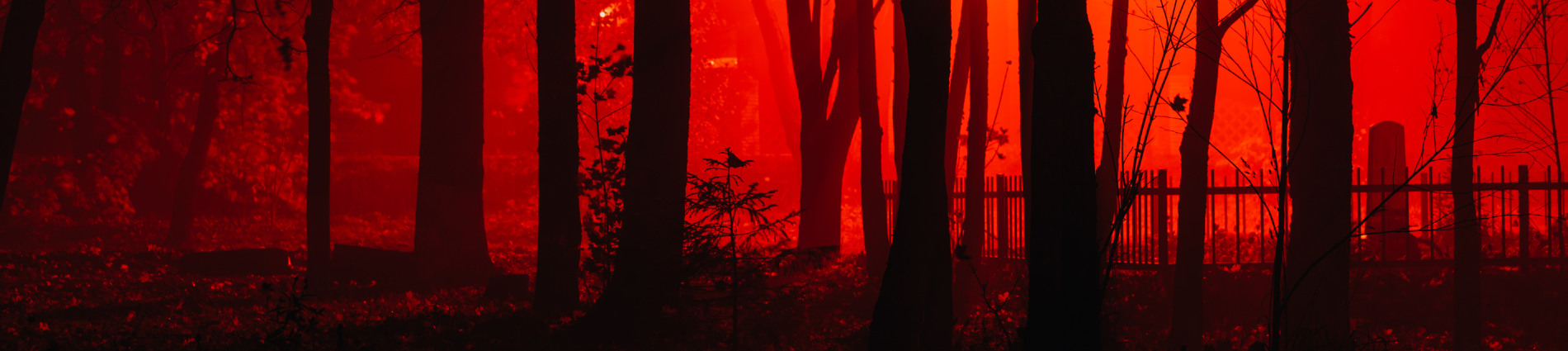 image of spooky cemetary with lots of treees and red sky